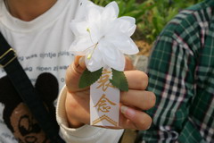 彩神lllv入口(中国游)官方网站