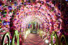 彩神lllv入口(中国游)官方网站