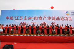 彩神lllv入口(中国游)官方网站