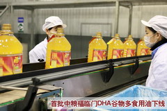 彩神lllv入口(中国游)官方网站