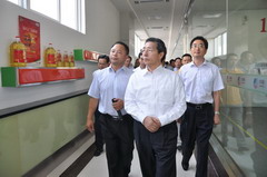 彩神lllv入口(中国游)官方网站