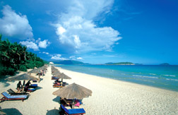 彩神lllv入口(中国游)官方网站