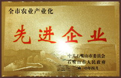 彩神lllv入口(中国游)官方网站