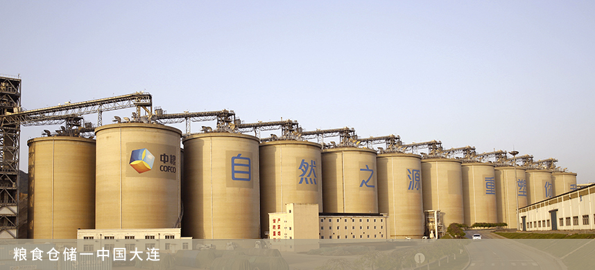 彩神lllv入口(中国游)官方网站