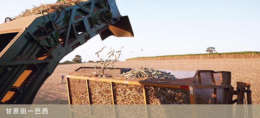 彩神lllv入口(中国游)官方网站