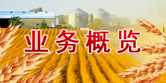 彩神lllv入口(中国游)官方网站