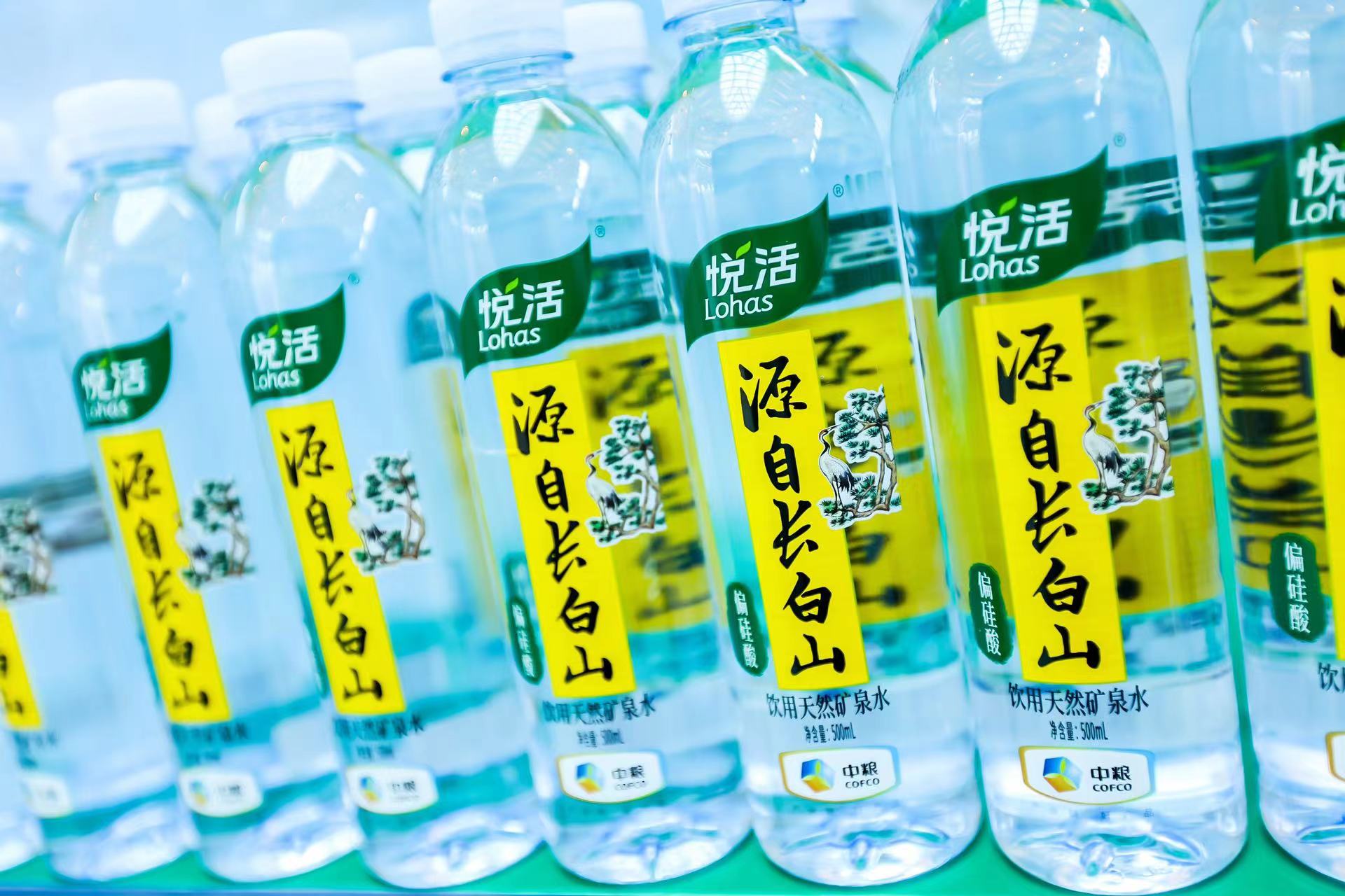 彩神lllv入口(中国游)官方网站