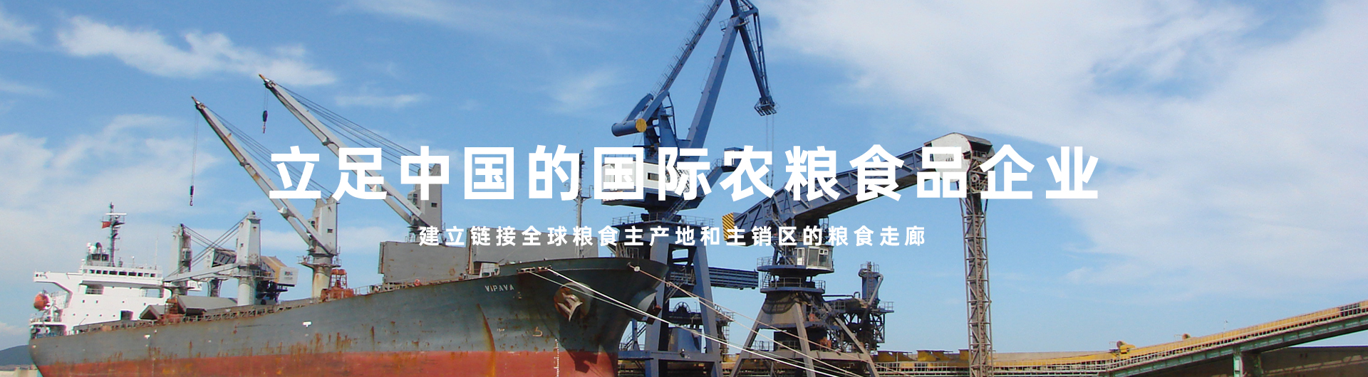 彩神lllv入口(中国游)官方网站