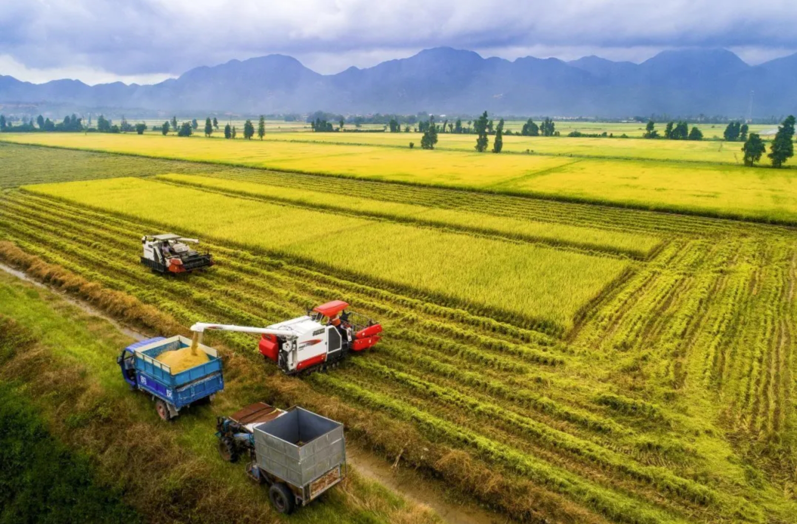 彩神lllv入口(中国游)官方网站