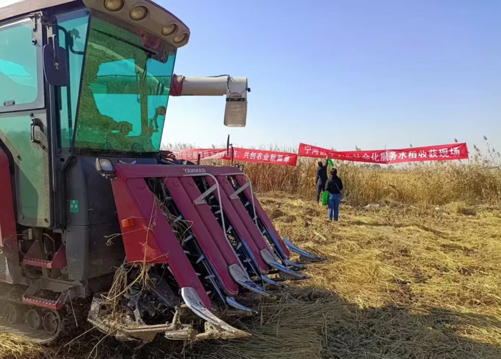 彩神lllv入口(中国游)官方网站