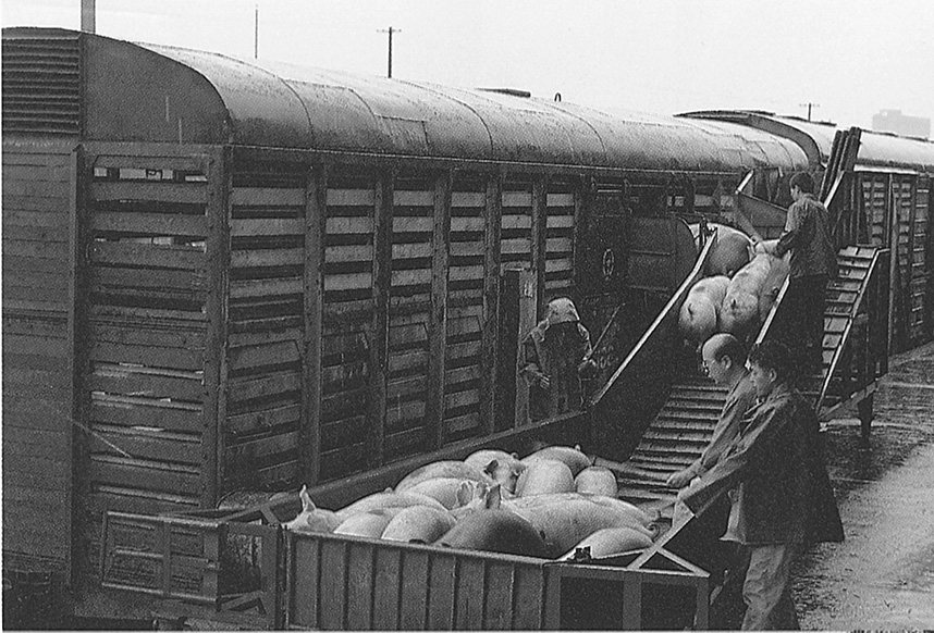 彩神lllv入口(中国游)官方网站