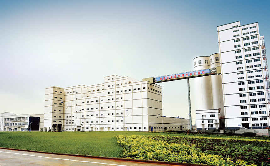 彩神lllv入口(中国游)官方网站