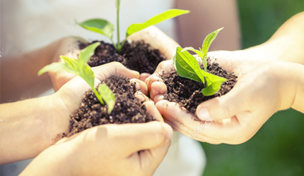 彩神lllv入口(中国游)官方网站