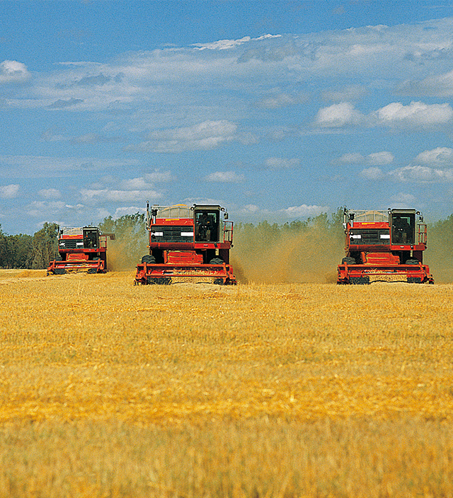 彩神lllv入口(中国游)官方网站