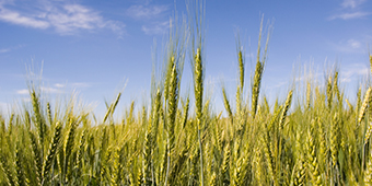 彩神lllv入口(中国游)官方网站