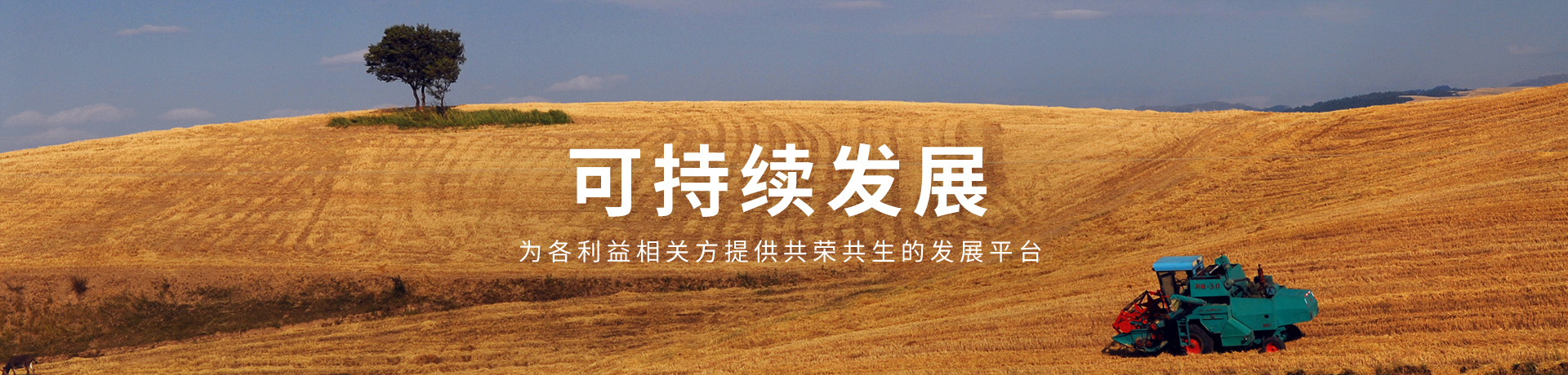 彩神lllv入口(中国游)官方网站