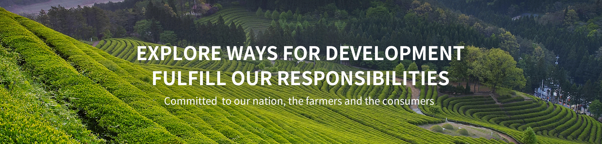 彩神lllv入口(中国游)官方网站